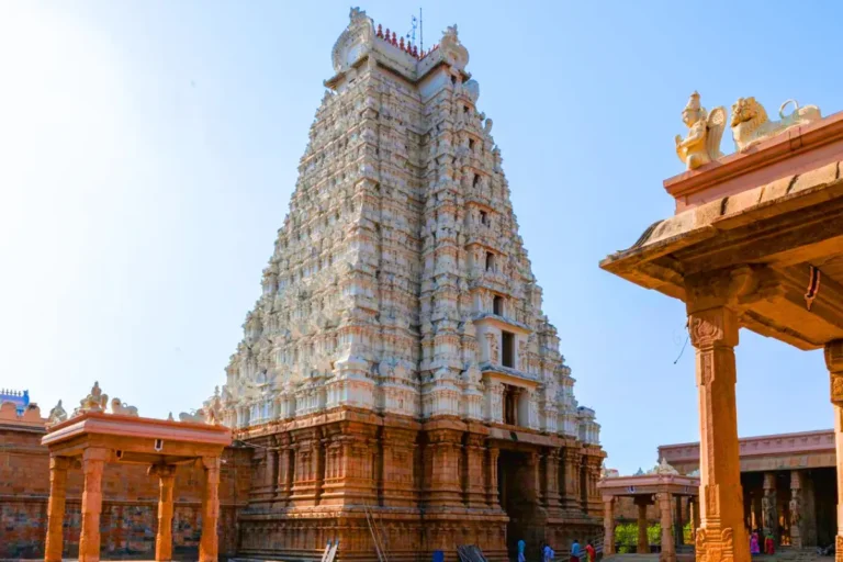Sri Ranganathaswamy Temple Srirangam Biggest Hindu Temple In India